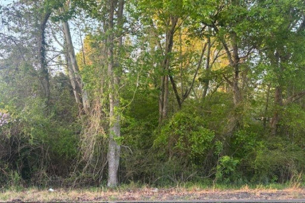 0 Big Woods Edgerly Road Vinton, LA 70668 - Photo 2 of 2