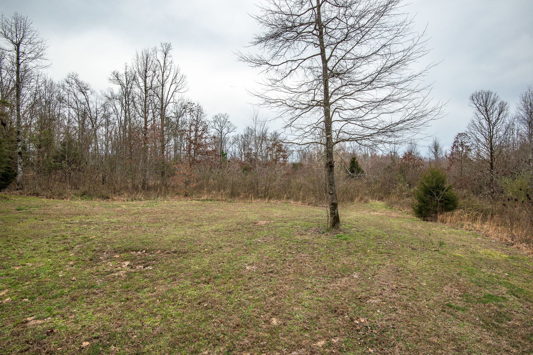 9797 Pinewood Lake Road Nunnelly, TN 37137 - Photo 29 of 46 Gallery Image 29