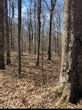 9797 Pinewood Lake Road Nunnelly, TN 37137 - Photo 42 of 46 Gallery Image 42