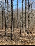 9797 Pinewood Lake Road Nunnelly, TN 37137 - Photo 46 of 46 Gallery Image 46