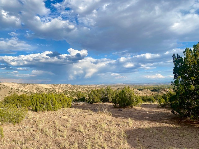 Lot 79 County Road Abiquiu, NM 87510 - Photo 8 of 11