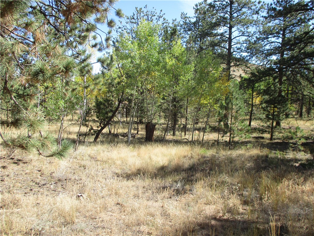 166 Haystack Road Hartsel, CO 80449 - Photo 10 of 16 Gallery Image 10