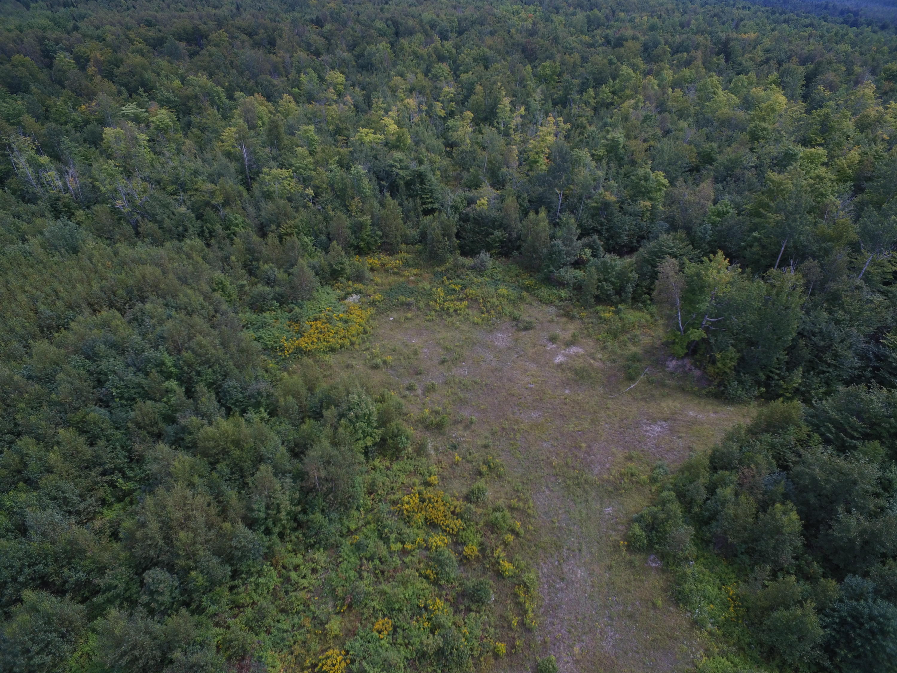 Lot 37 Off Freedom Way Springfield, ME 04487 - Photo 6 of 11 DJI_0509