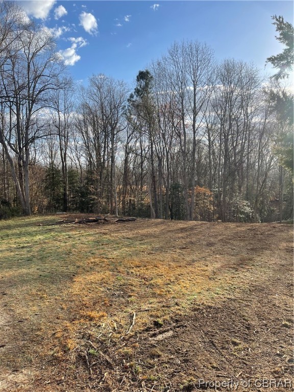 2.07-ac Old Pinetta Road Gloucester, VA 23061 - Photo 4 of 16