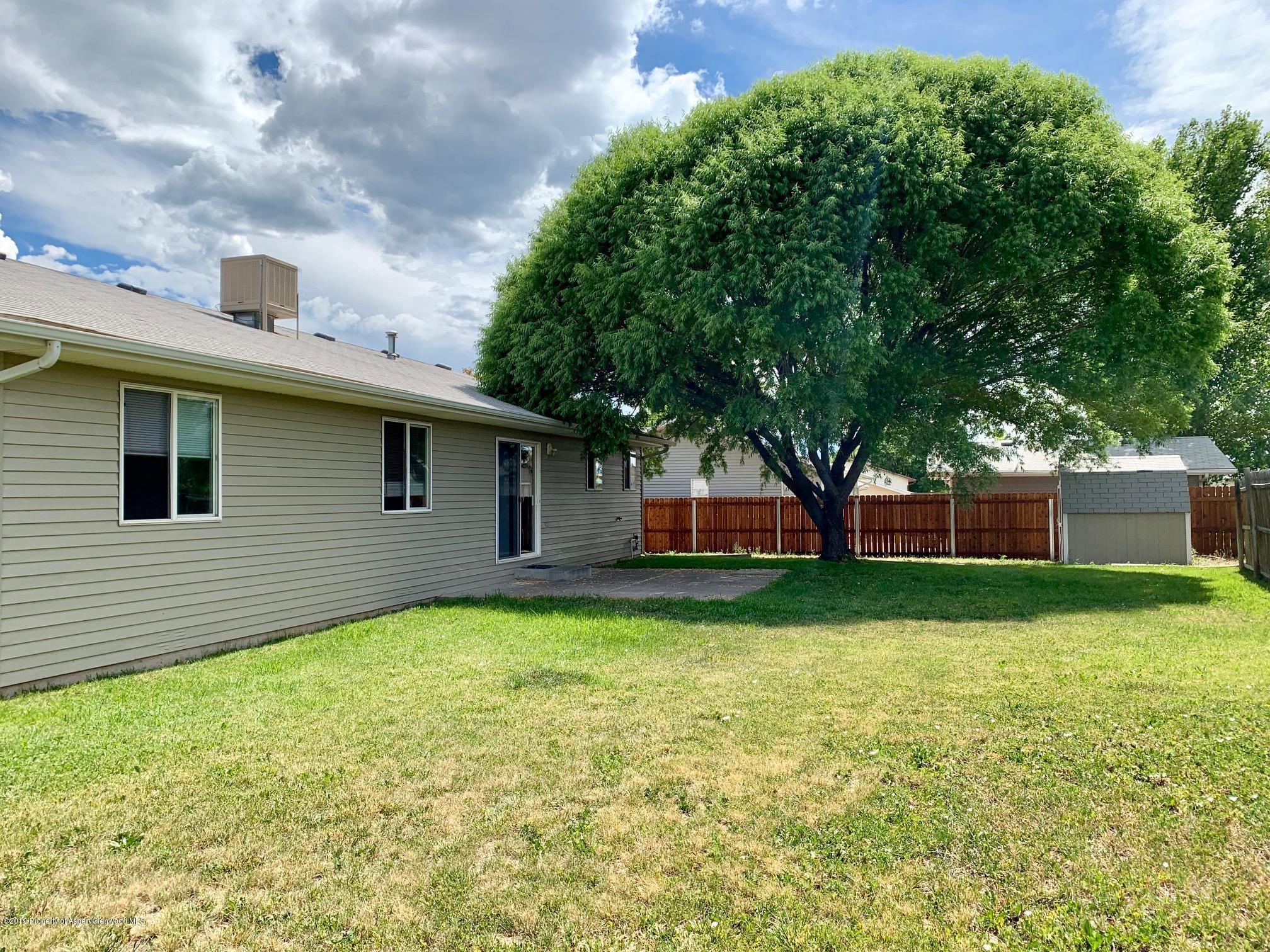 2595 Ute Avenue Rifle, CO 81650 - Photo 17 of 22 willow tree