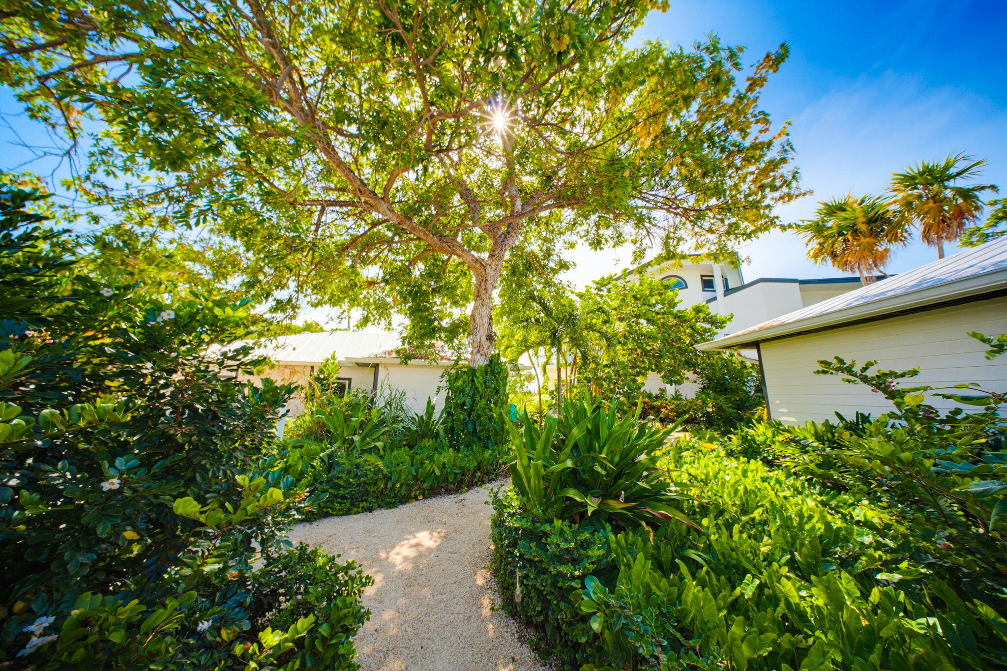 57733 Morton Street Marathon, FL 33050 - Photo 112 of 247 Bungalows Pathway