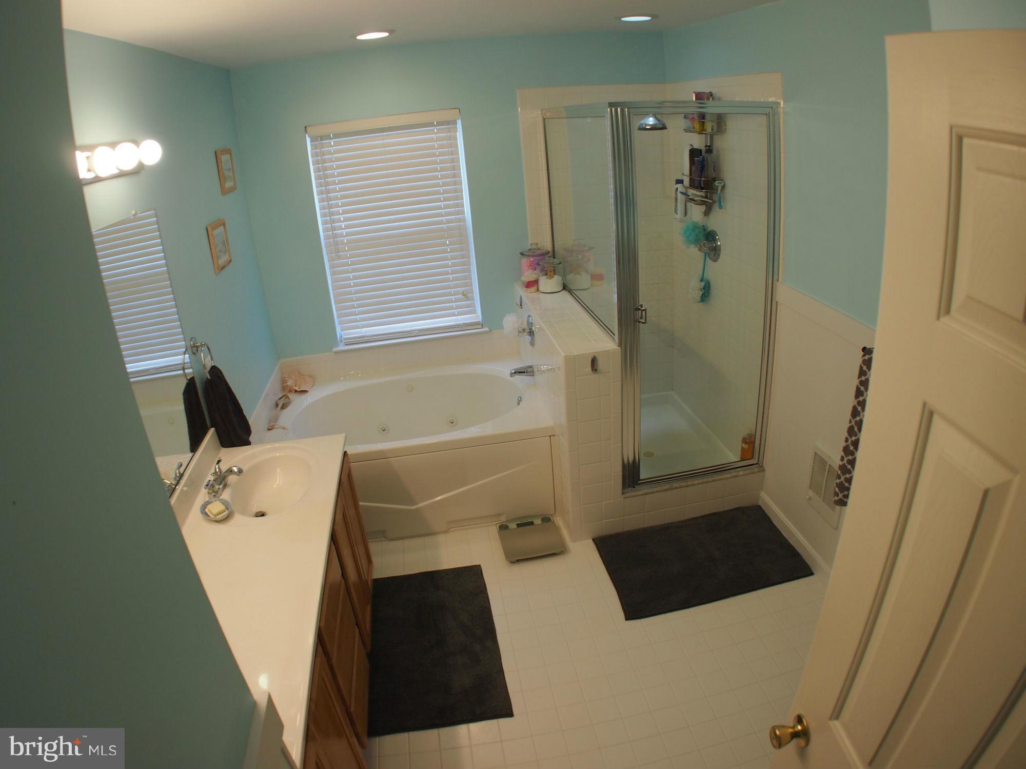 1311 Waterview Way Baltimore, MD 21221 - Photo 9 of 30 Bath (Master)