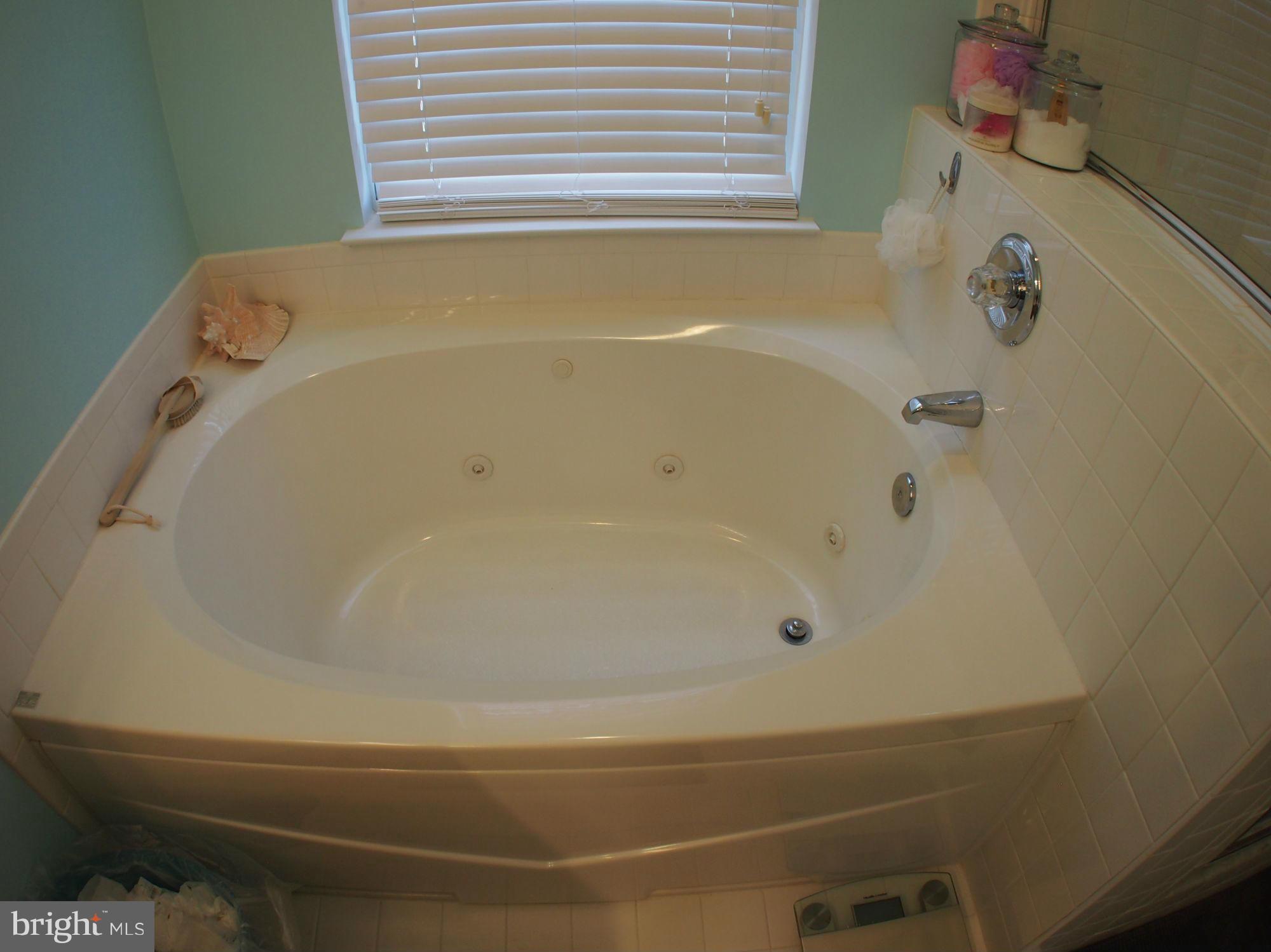 1311 Waterview Way Baltimore, MD 21221 - Photo 10 of 30 Bath (Master)