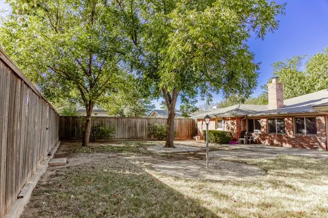 a view of a park with plants and trees