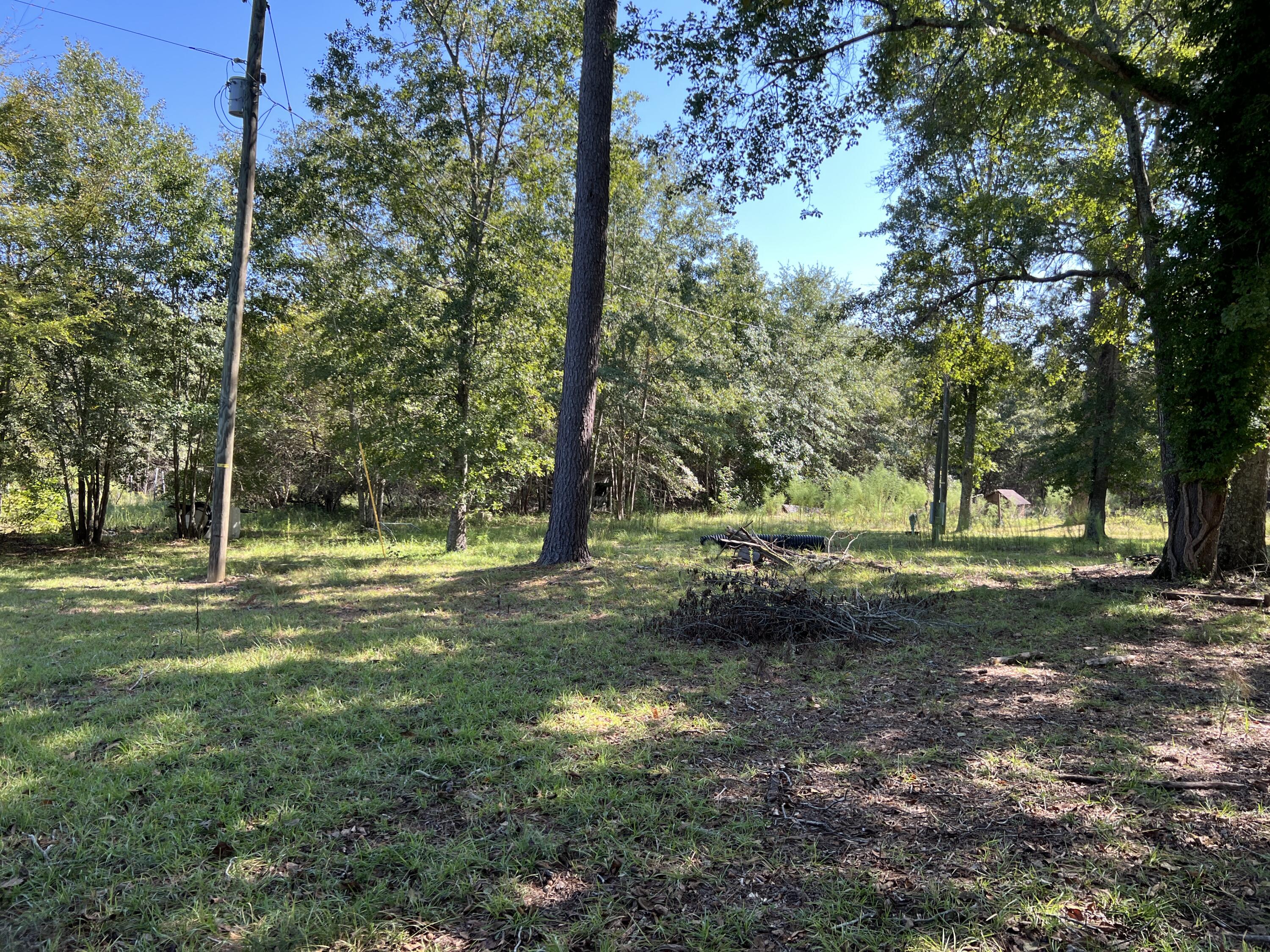 689 Hemlock Road Barnwell, SC 29812 - Photo 12 of 18 Gallery Image 12