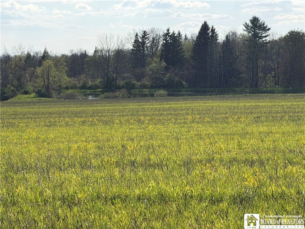 0 Scott Hill Road Kennedy, NY 14747 - Photo 5 of 16