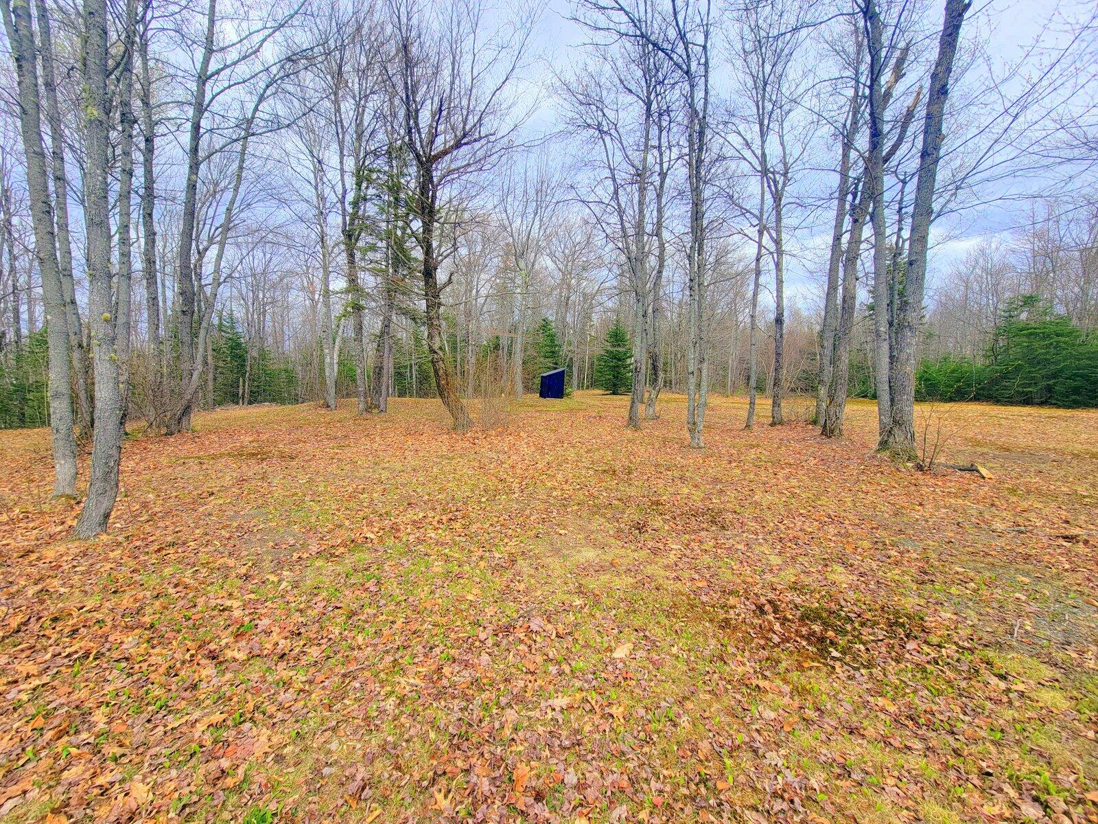 69 Tory Hill Road Phillips, ME 04966 - Photo 4 of 29 04-Yard (2)