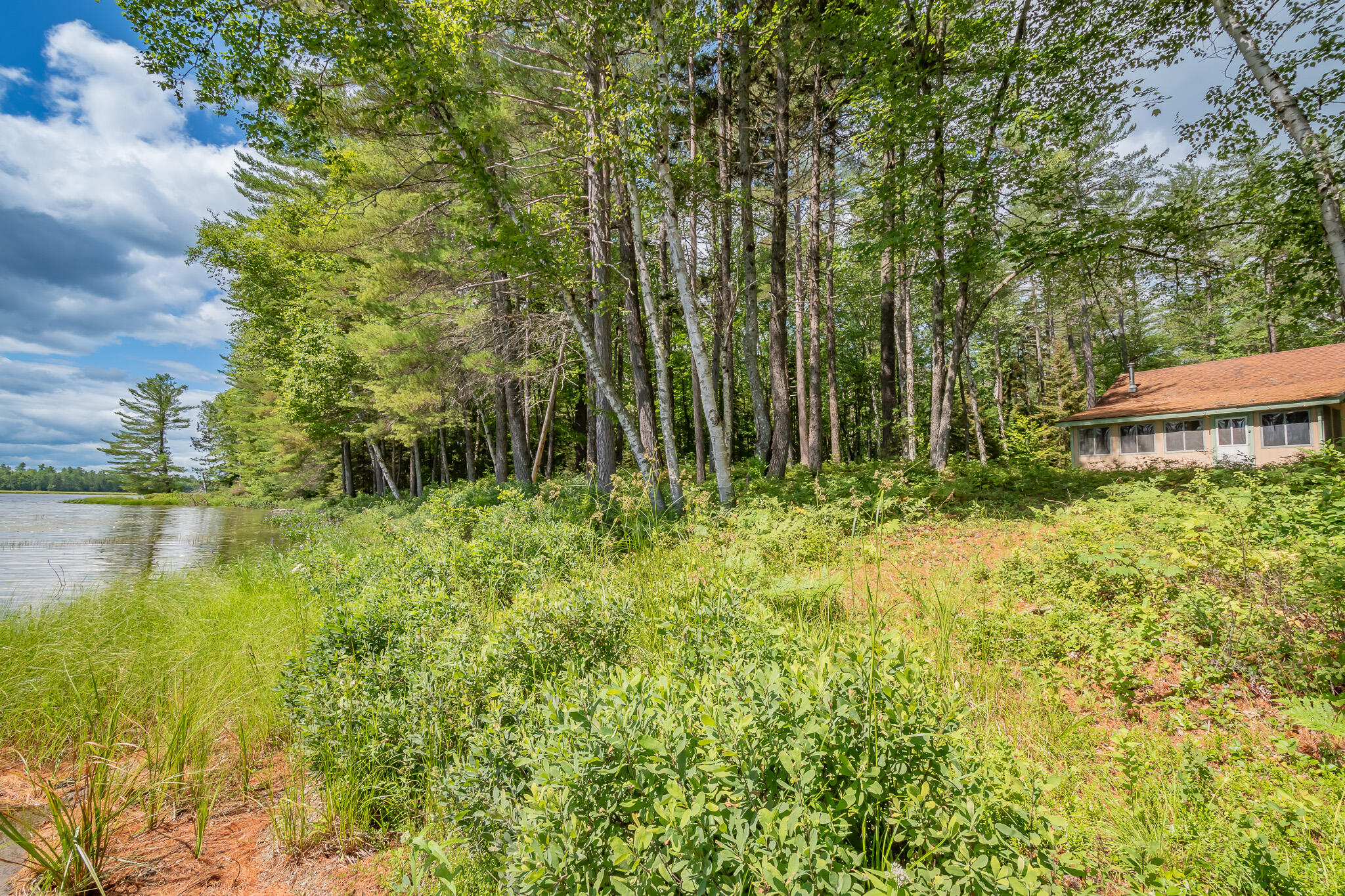 770 Ebeemee Lake Road Brownville, ME 04414 - Photo 36 of 66 DSC_0072