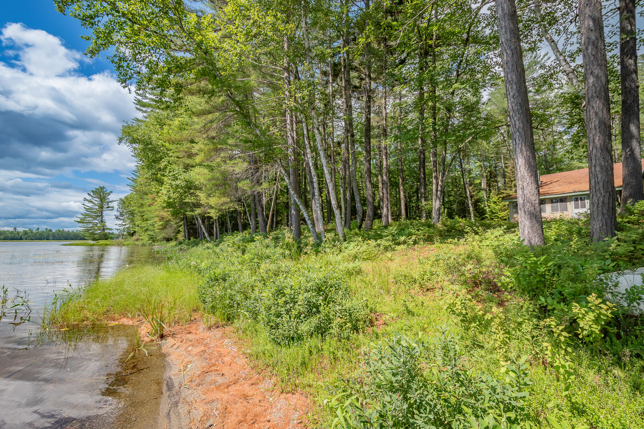 770 Ebeemee Lake Road Brownville, ME 04414 - Photo 37 of 66 DSC_0075