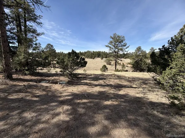 $94,900 | 262 Harmon Drive, Cotopaxi, CO 81223