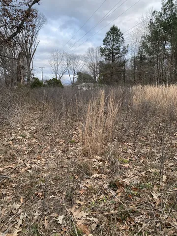 a view of a lake with lots of trees