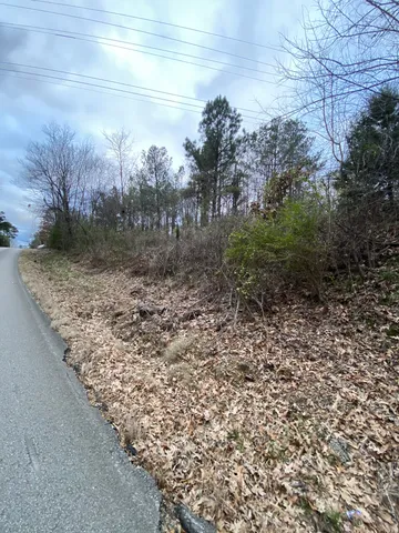 a view of a yard with a fountain