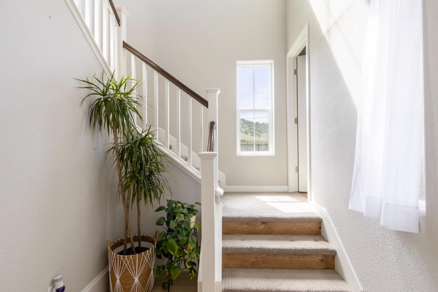 9419 Vintner Circle Patterson, CA 95363 - Photo 8 of 34 a view of entryway and hall with wooden floor