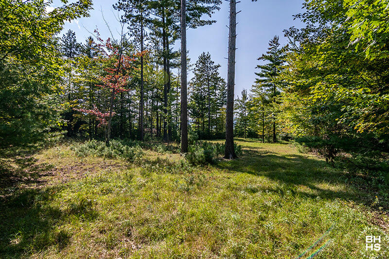 Lot 1 Styles Brook Road Keene, NY 12942 - Photo 5 of 21 Gallery Image 5