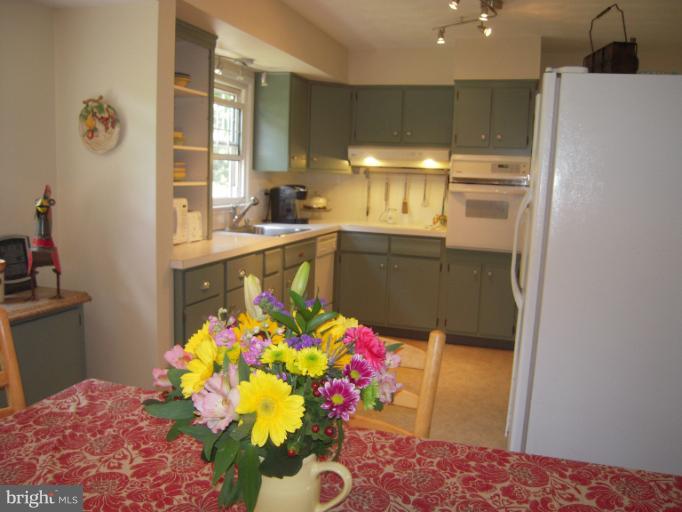 1201 Harding Lane Silver Spring, MD 20905 - Photo 21 of 23 a kitchen with flowers in it and window