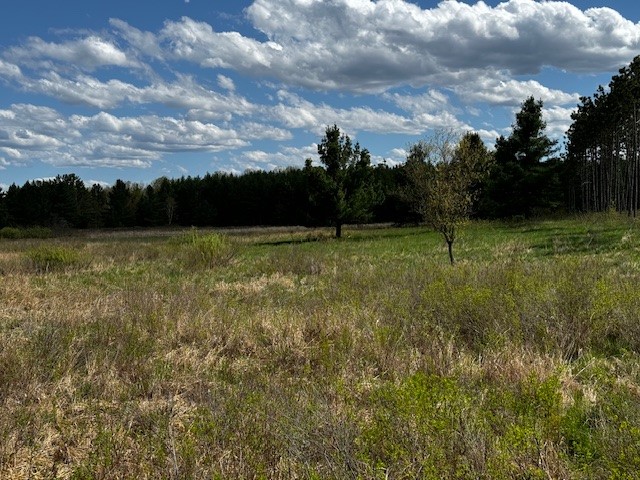 0 Granton Road Neillsville, WI 54456 - Photo 29 of 33