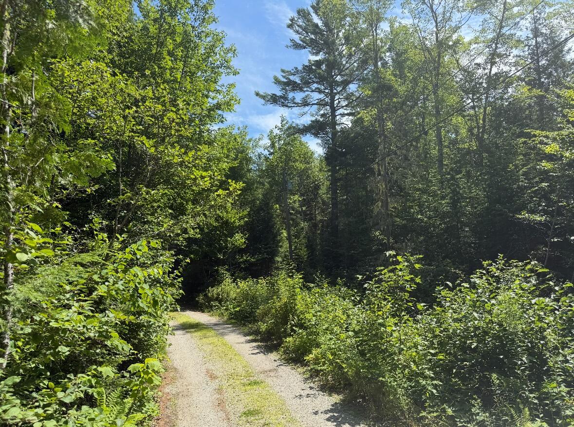Lot 23 Webb Pond Road Eastbrook, ME 04634 - Photo 8 of 16