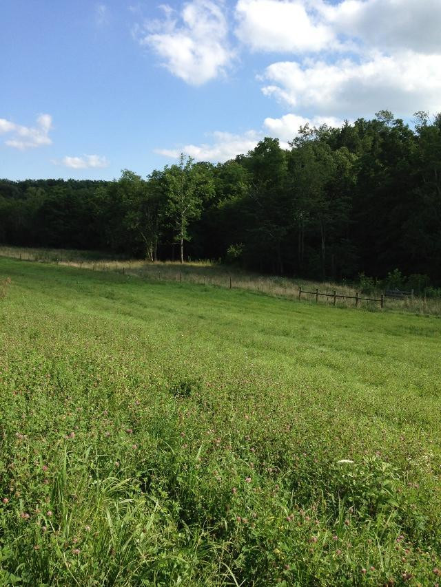 2 Old Richmond Road Paint Lick, KY 40461 - Photo 2 of 11 Photo 2