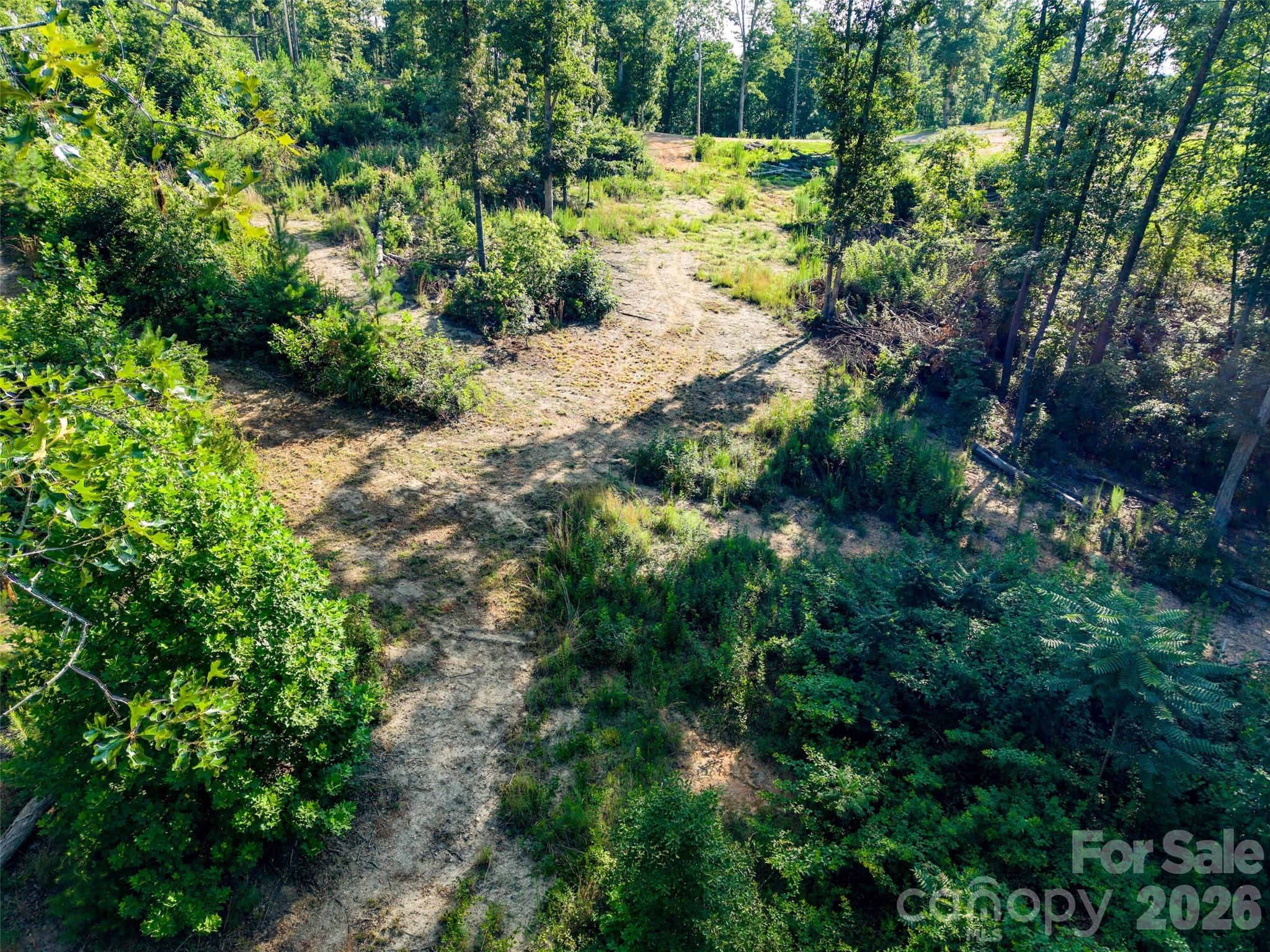 443 Polk County Line Road Rutherfordton, NC 28139 - Photo 8 of 31