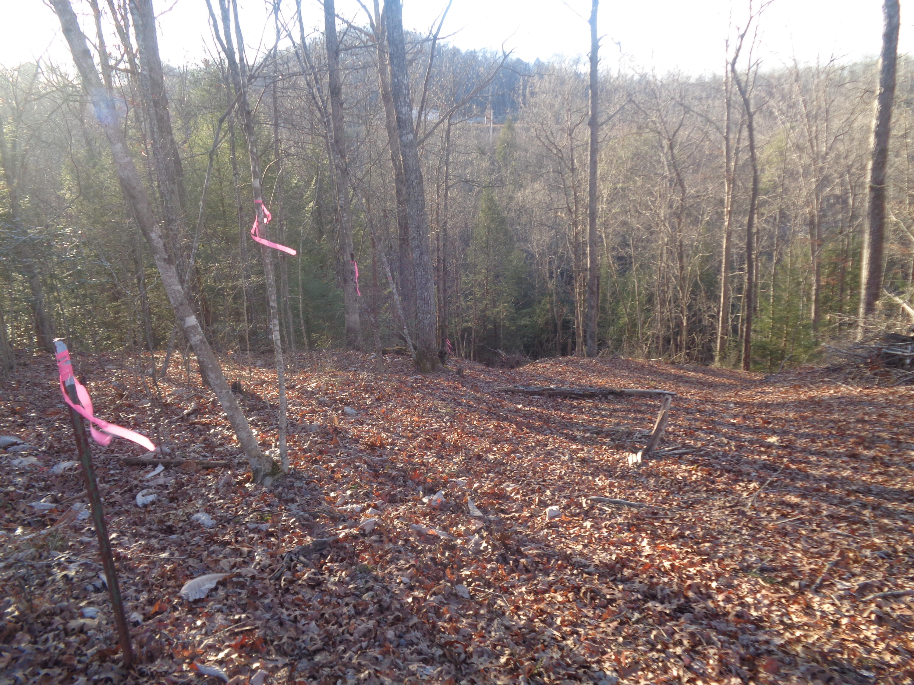 Lot 2 Fount Hubbard Road London, KY 40741 - Photo 10 of 31 DSC07489