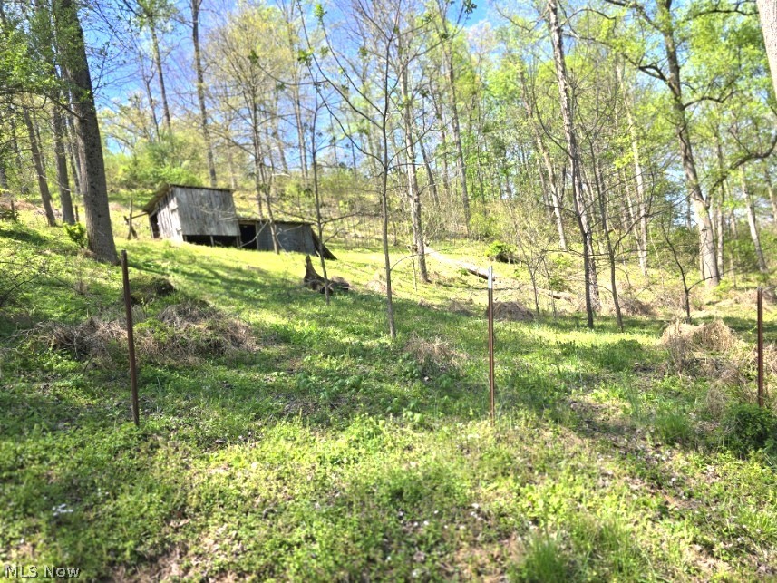 2361 Carpenter Run Road Waverly, WV 26184 - Photo 32 of 37