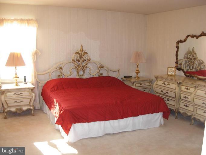 8123 Viola Street Springfield, VA 22152 - Photo 15 of 20 Master Bedroom