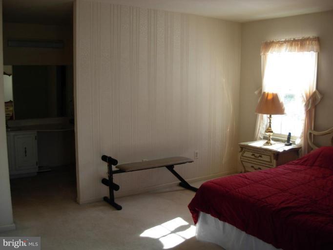 8123 Viola Street Springfield, VA 22152 - Photo 16 of 20 Master Bedroom #2