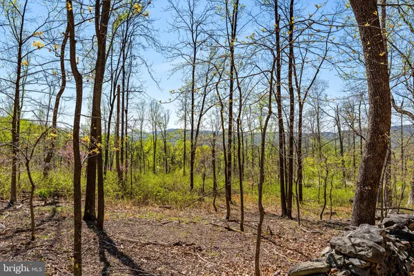 $1,488,000 | Snider Lane, Purcellville, VA 20132