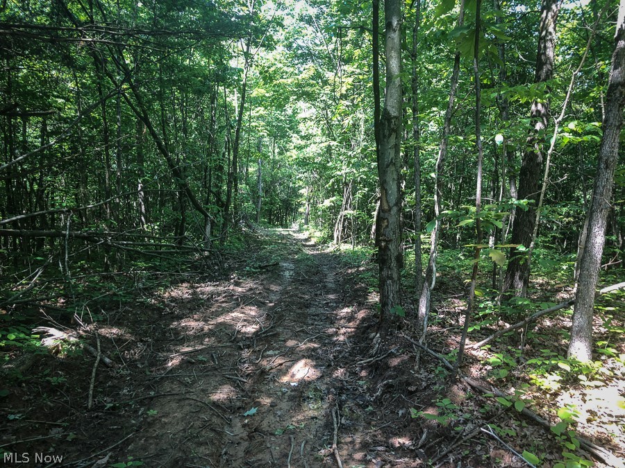 Robins Road Senecaville, OH 43780 - Photo 18 of 25 Gallery Image 18