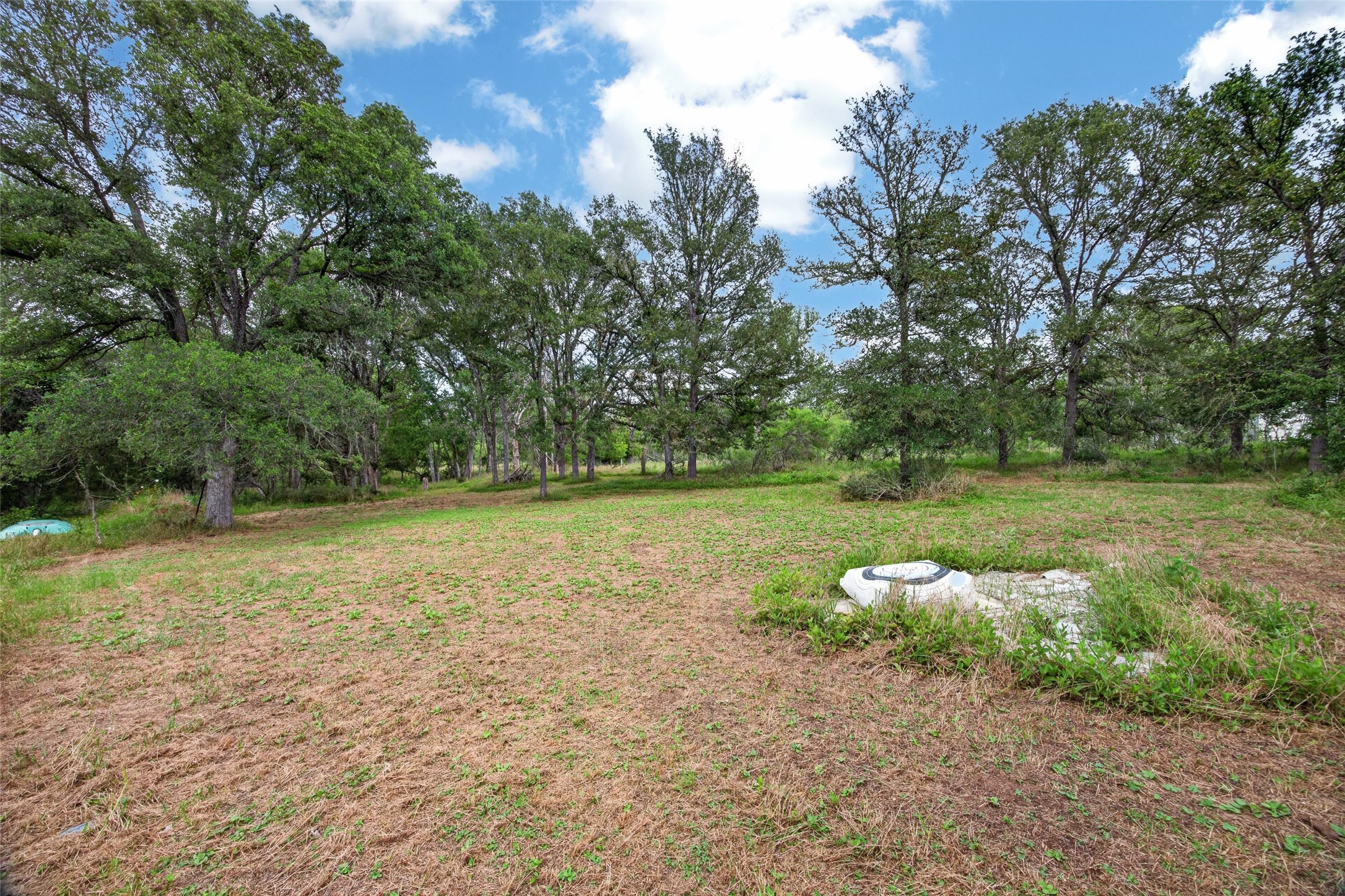 266 Beaver Road Elgin, TX 78621 - Photo 14 of 40 Mature trees and open pasture define this spacious property.