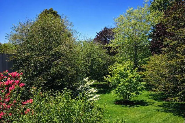 a view of a lush green yard