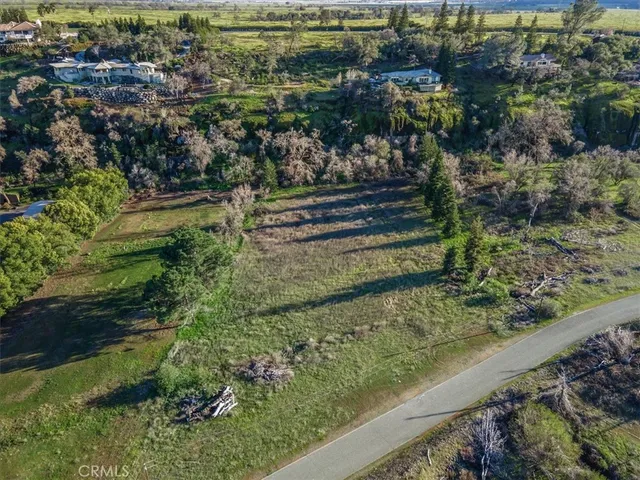 a view of a garden with an outdoor space