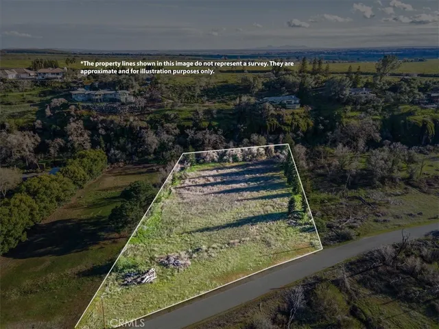 a view of a yard with wooden floor
