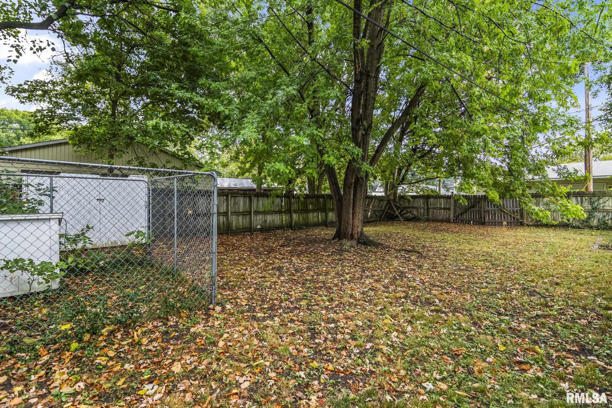 1933 South 1st Street Springfield, IL 62704 - Photo 42 of 43