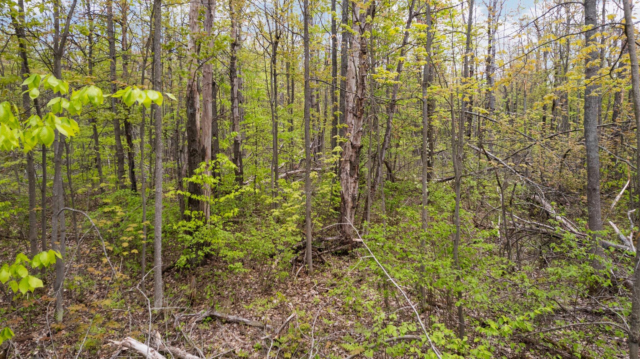 491 Co Road Lewiston, MI 49756 - Photo 12 of 14 Gallery Image 12