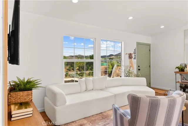 a living room with furniture and a potted plant