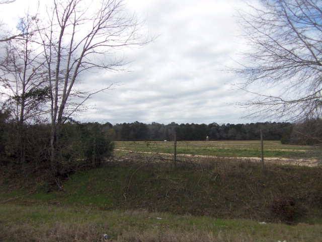 1400 Middleton Road Dothan, AL 36301 - Photo 1 of 1