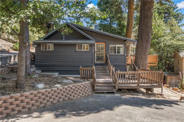 a view of a yard with plants