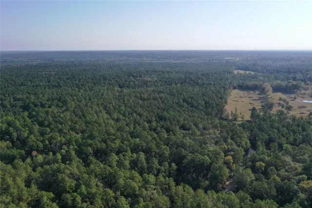 $1,653,874 | 5 Trinity Lady Park Road, Trinity, TX 75862