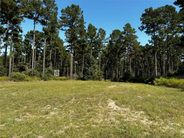 $1,653,874 | 5 Trinity Lady Park Road, Trinity, TX 75862