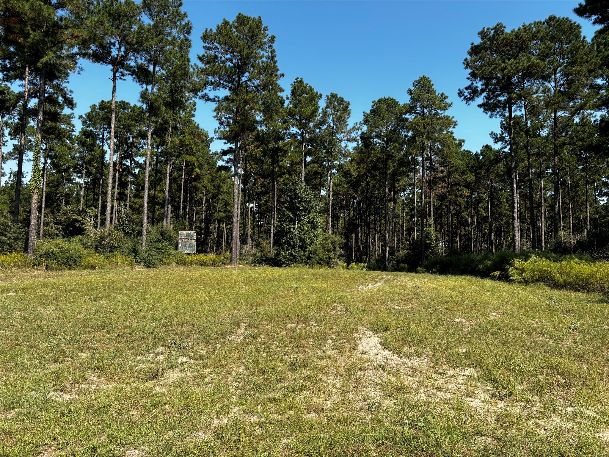 5 Trinity Lady Park Road Trinity, TX 75862 - Photo 4 of 6