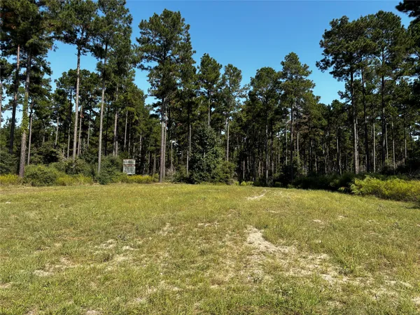 a view of swimming pool and trees