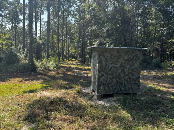 a view of outdoor space with lots of trees