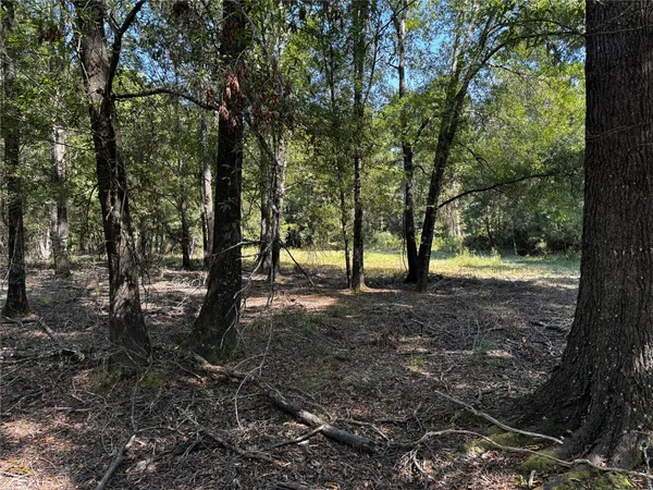 $1,653,874 | 5 Trinity Lady Park Road, Trinity, TX 75862