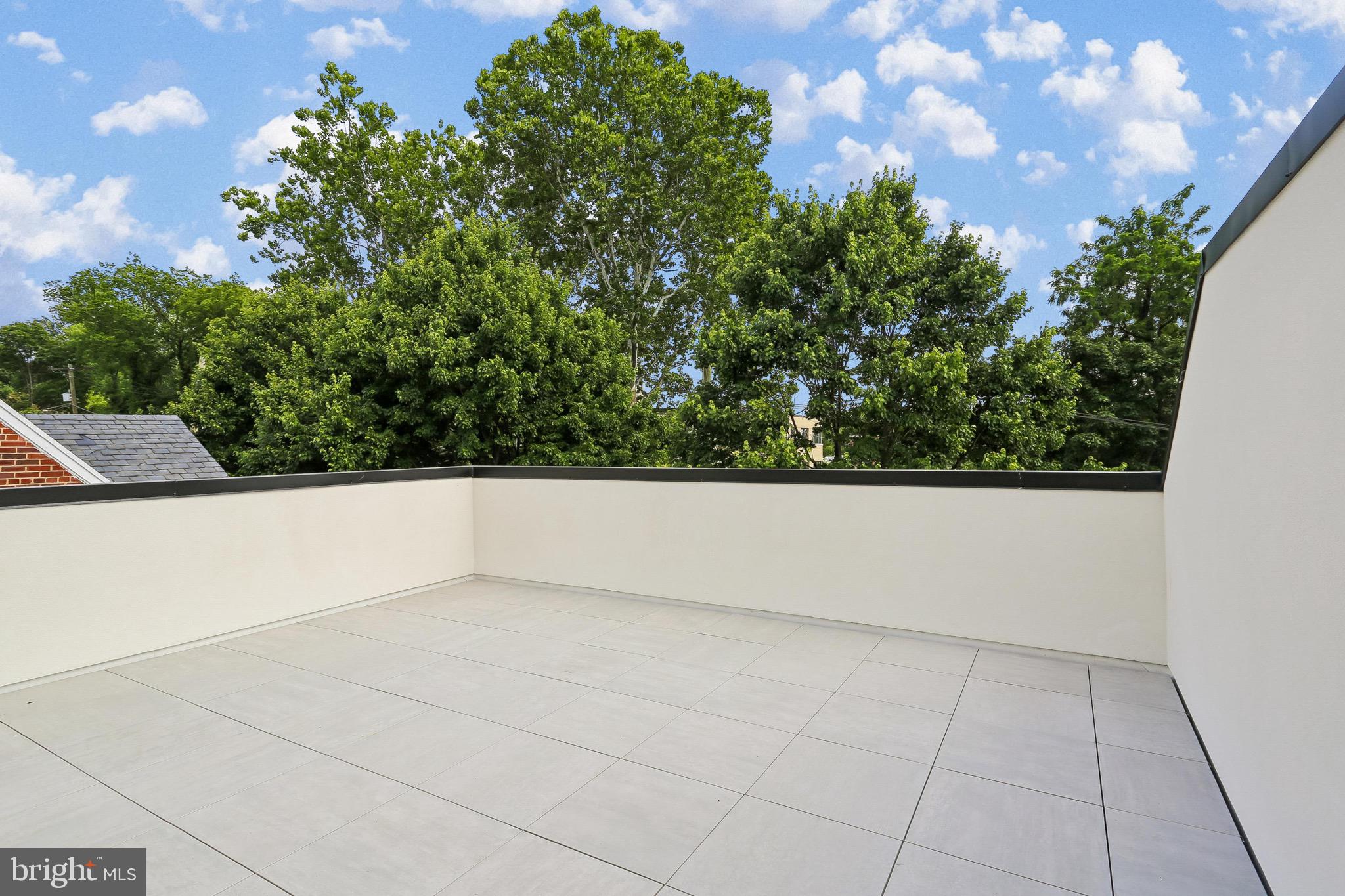 3929 Fulton Street Northwest, Unit A Washington, DC 20007 - Photo 47 of 79 Roof Top Balcony